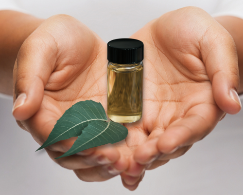 Is Neem safe?